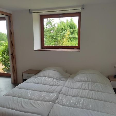 Conviviale - Longere Lumineuse - Charme & Nature Bains-sur-Oust Luaran gambar